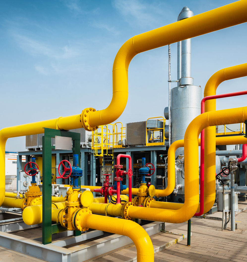 Settore petrolchimico e chimico